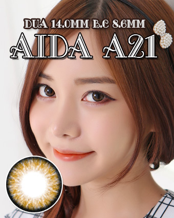 アイダA21ブラウン