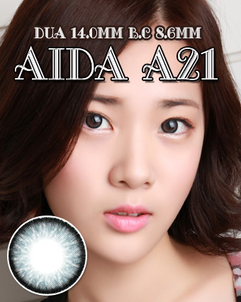 アイダA21グレー